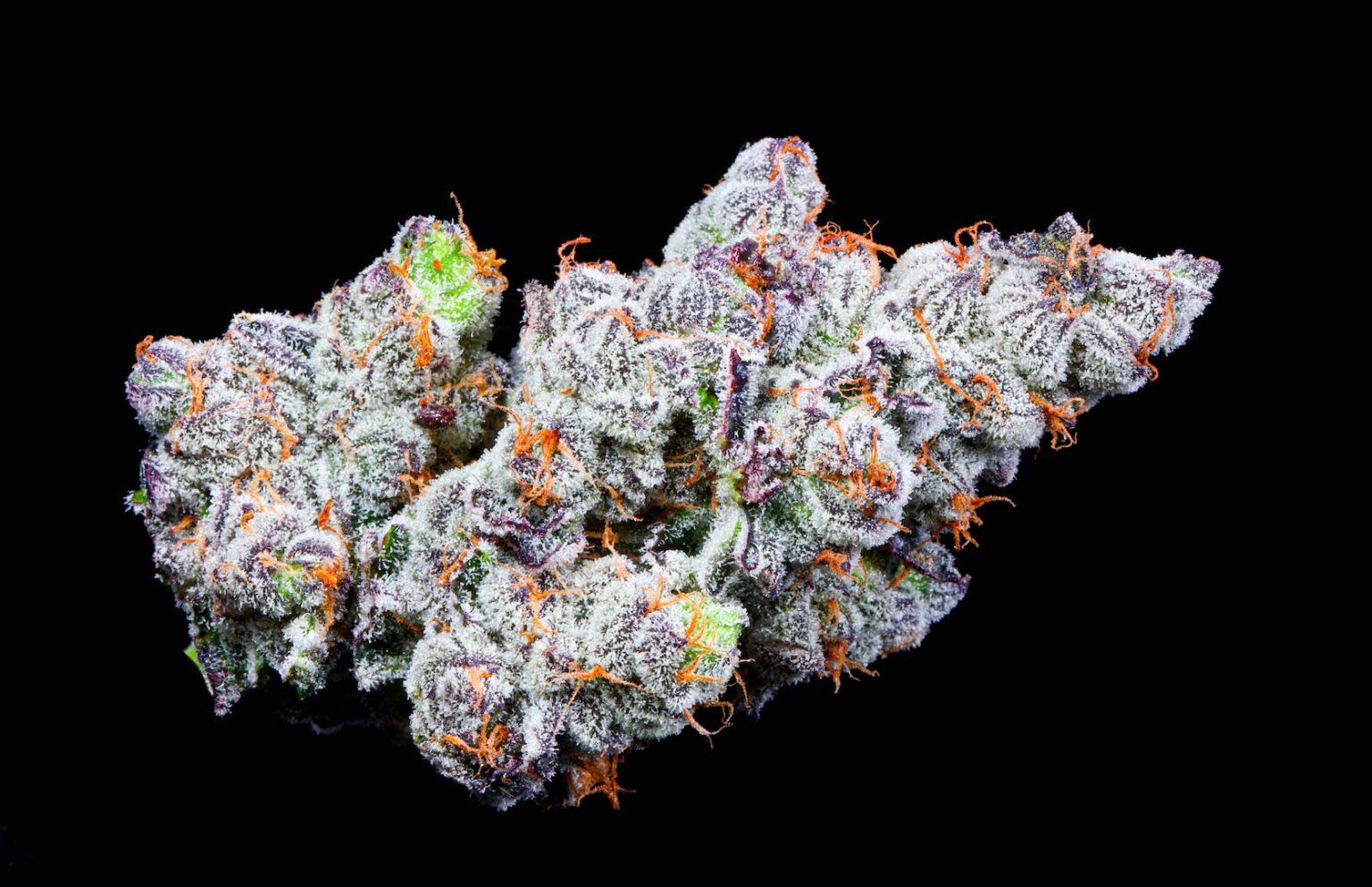 Modified Grapes Bloom County Colorado’s Home Town Cannabis Retailer